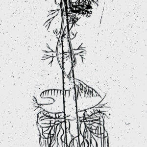 Black Boot - Demo 2013