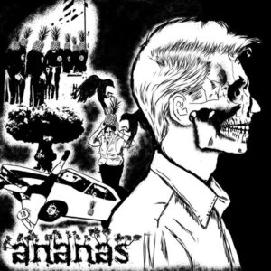 Ananas (8) - Ananas