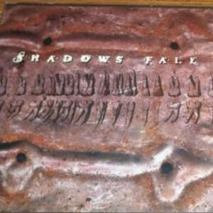 Shadows Fall - To Ashes