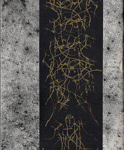 Sutekh Hexen - Alters