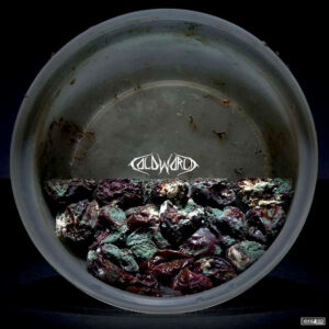 Cold World / Hummingbird Of Death - Cold World / Hummingbird Of Death