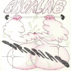 BRORLAB - Working Out In Heaven