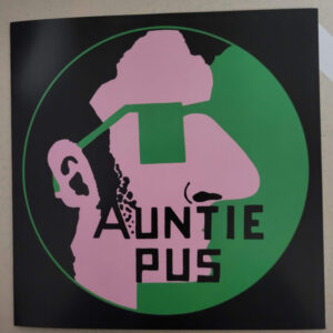 AUNTIE PUS - Halfway To Venezuela b/w Marmalade Freak