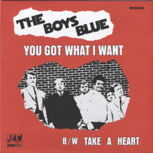 BOYS BLUE, THE - You Got What I Want