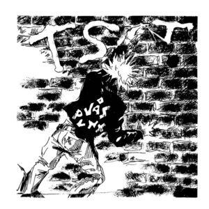 TST ‎– Vås Punx