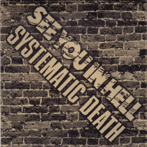 See You In Hell / Systematic Death – Backdrop EU Tour 2010