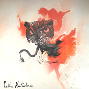 LASTEN HAUTAUSMAA ‎– IV